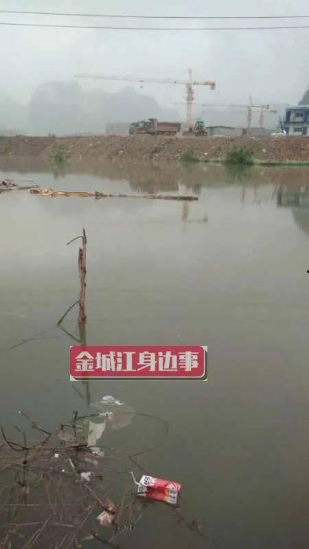 河池市网友爆料案件最新,最新案件细节曝光，真相令人震惊！  第2张